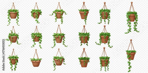 Collection of hanging plants in terracotta pots with trailing vines, suspended by ropes.