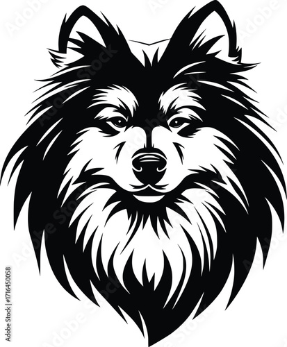 Keeshond head silhouette with thick ruff, pointed ears, and expressive eyes in black vector