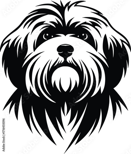 Lhasa Apso head silhouette with long flowing coat, round eyes, and compact muzzle in vector