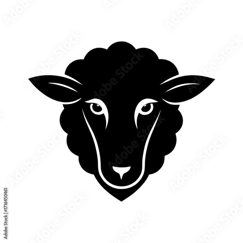 black and white sheep