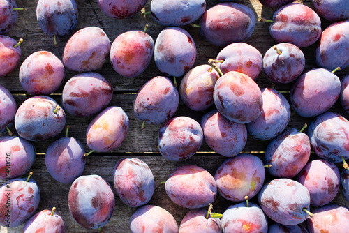 Ripe plums close-up. Organic Fruits.