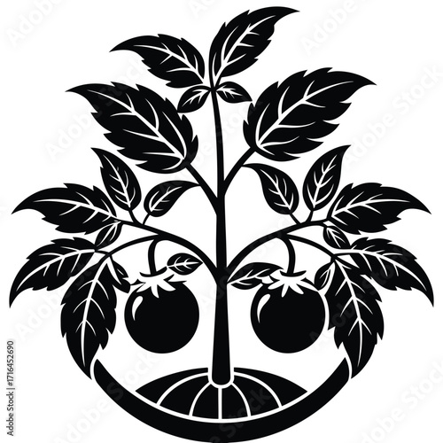 tomato plant icon icon on white background