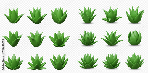 Collection of fifteen stylized green succulent plants in various shapes and orientations on a transparent background.