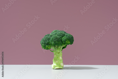 Florete de brócoli en pie sobre mesa blanca y fondo rosa
