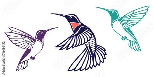 Three colorful hummingbird illustrations in flight, perfect for modern design projects, vibrant and dynamic
