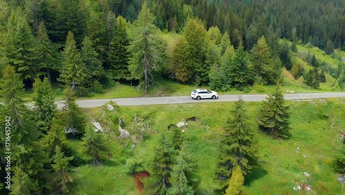 Modern White Sedan Driving on Scenic Country Road Surrounded by Pine Trees
