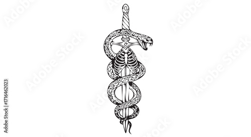 Serpent's Spine: A Detailed Illustration of a Snake Coiled Around a Sword, Intertwined with a Skeletal Ribcage, on White Backdrop. tattoo design Adobe Illustrator Artwork