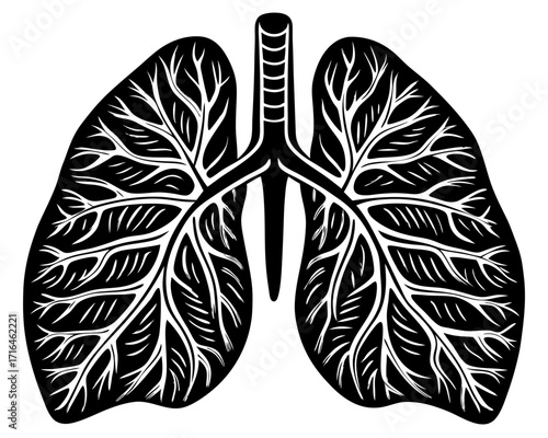 Human Lungs Silhouette, Medical Science SVG, PNG