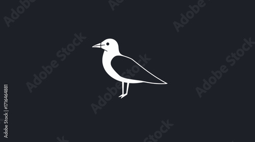 A simple, white silhouette of a seagull standing against a dark blue background.