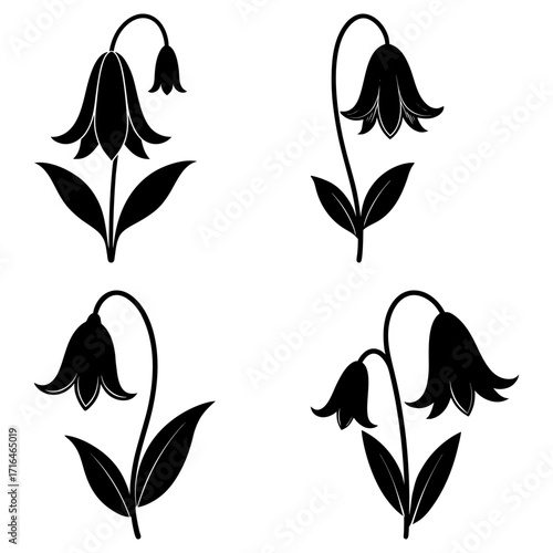 Four black silhouettes of bellflower plants with drooping flowers and leaves on a white background art