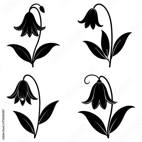 Four black and white floral illustrations featuring bell shaped flowers with leaves on a white background