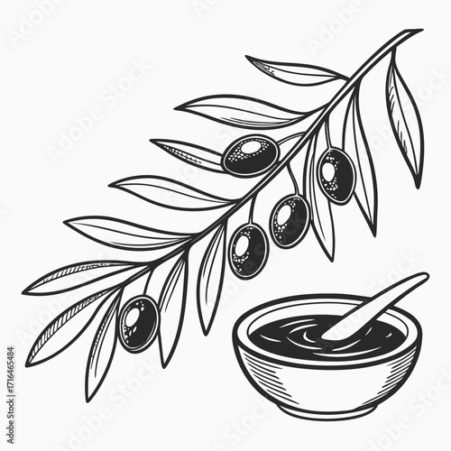 Olive branch with black olives and olive oil vector illustration in floral silhouette style