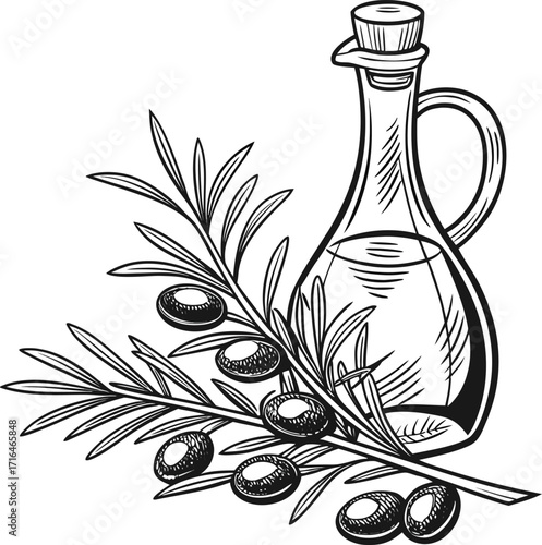 Olive oil bottle with olive branch and floral design vector illustration
