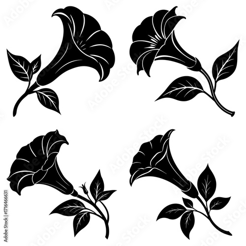 Four black and white datura flowers with leaves in various orientations on a white background design element