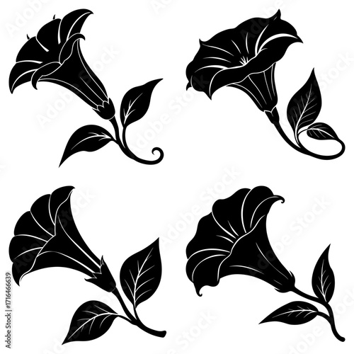 Four black and white datura flower illustrations with leaves and stems on a white background art