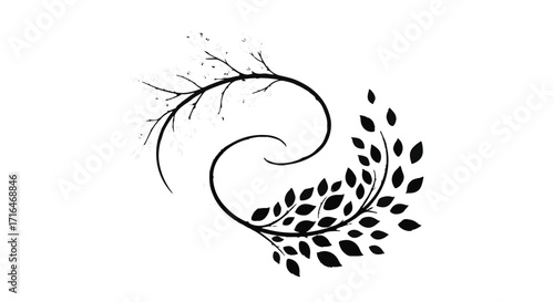 Elegant swirling branch with leaves creating a graceful organic shape on white background
