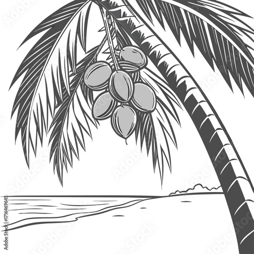 Tropical beach illustration with a coconut palm tree silhouette, a vector drawing of a palm tree