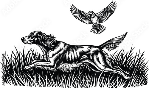 Running dog chasing bird, black and white line art, outdoor nature sketch, tall grass scene, energetic animal illustration drawing