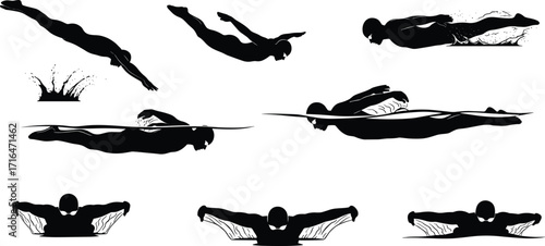 Silhouette swimmer performing butterfly stroke, diving, gliding, pulling, recovery motion, swimming technique, aquatic sport, vector illustration, training sequence