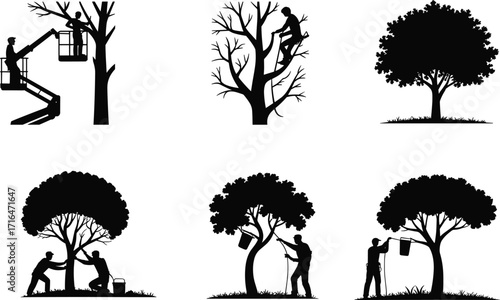 Tree trimming, arborist work, tree care, gardening services, silhouette icons, landscaping, tree maintenance, outdoor work, professional tree pruning, urban forestry
