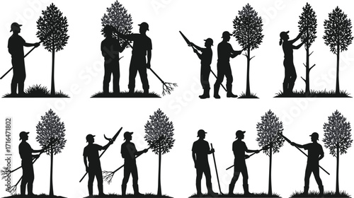 Silhouette workers pruning trees with tools, trimming branches, cutting limbs, collecting debris, arborist activity, landscaping maintenance, vector illustration, outdoor care