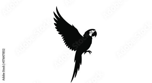 Silhouette of a graceful macaw bird in flight against a white background