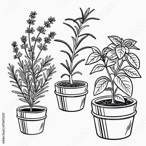 Vector illustration of a small potted houseplant with a single green leaf