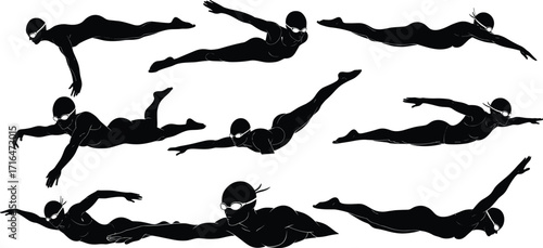 Silhouettes of Swimmers in Action Poses, Professional Swimming Technique Illustration, Competitive Swimming Training, Freestyle Stroke Vector Art