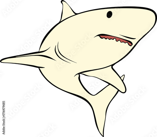 shark