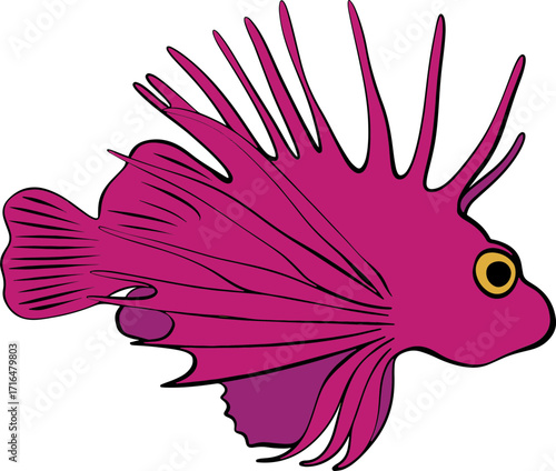 Exotic Blue Parrotfish Drawing 