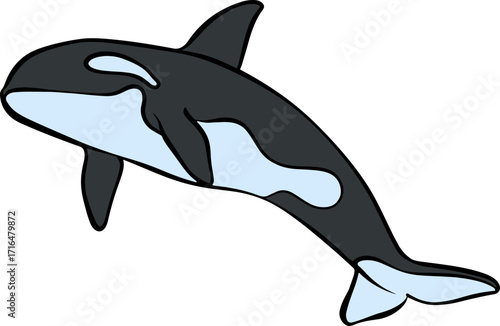 shark