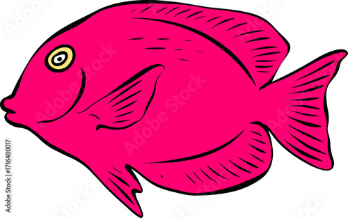 Bright Shoal Basslet Clipart