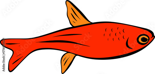 Bright Shoal Basslet Clipart