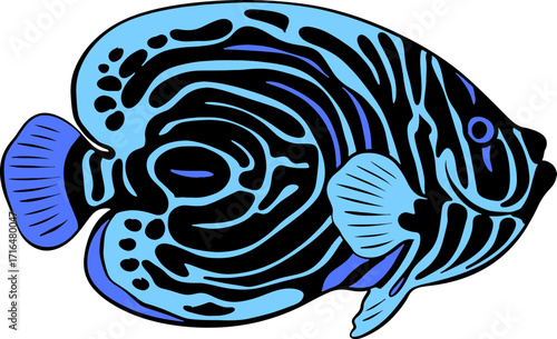 Bright Shoal Basslet Clipart