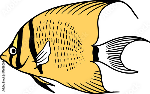Bright Shoal Basslet Clipart