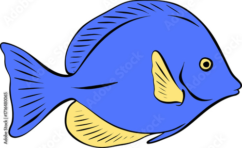 Bright Shoal Basslet Clipart