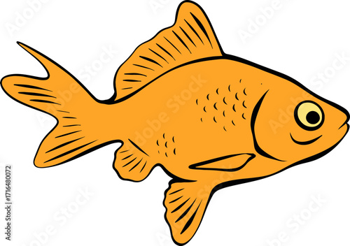 Bright Shoal Basslet Clipart