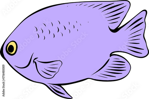 Bright Shoal Basslet Clipart