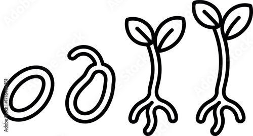 Seed Germination Process Vector Icon Depicting Growth Stages Outline Style