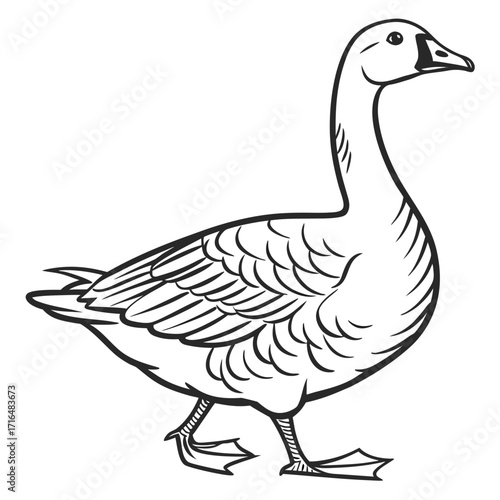 Classic Hand-Drawn Witch Hat Illustration with Buckle Detail, Perfect for Spooky Season Designs and Enchanting Fantasy Themes