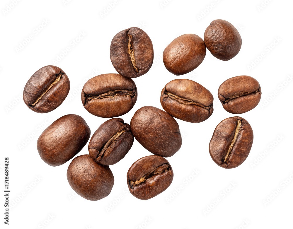 Naklejka premium set of coffee beans