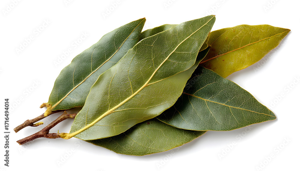 Obraz premium Dried bay leaves isolated on white background, side view