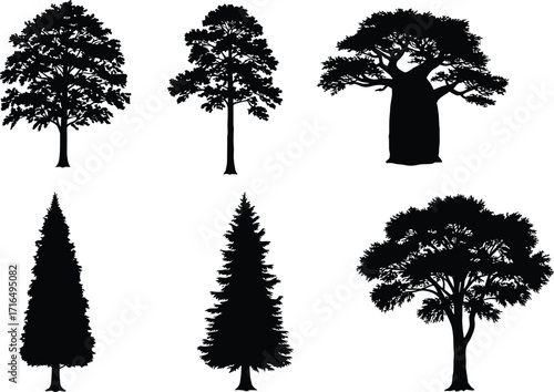 Collection of six tree silhouettes including baobab, pine, conifer, and broad deciduous trees, vector illustration for eco forest landscape design