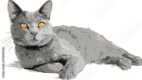 Elegant Grey Cat Sitting Vector Illustration