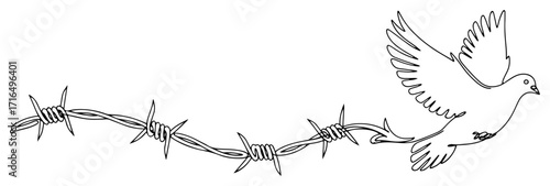 Dove Flying Over Barbed Wire Line Art