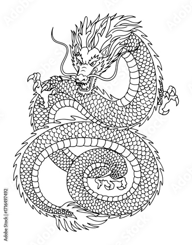 Detailed Asian Dragon Mythical Serpent Line Art Illustration