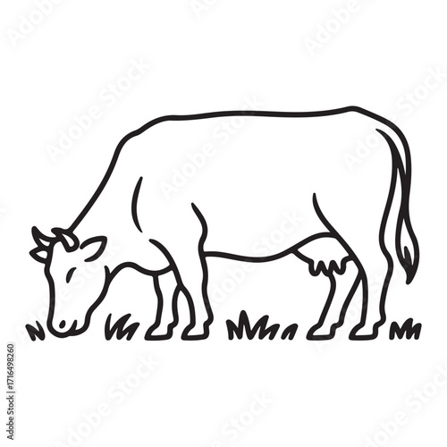 Farm cow eating grass outline isolated on white background