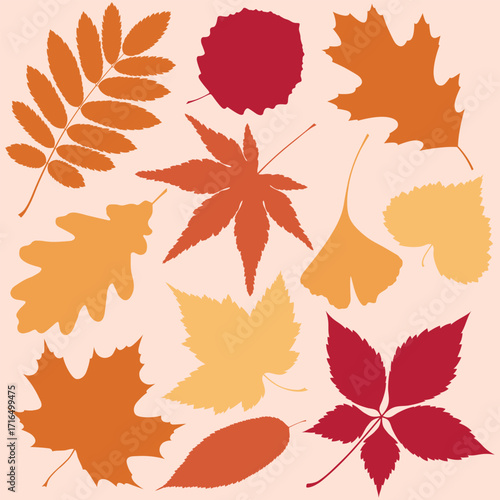 Set of colorful autumn leaf silhouettes on a beige background. Vector diverse foliage shapes.