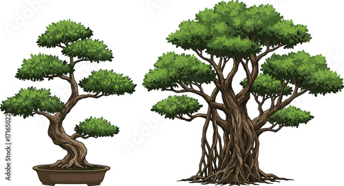 Bonsai tree and large tropical tree illustration, stylized green foliage, detailed trunk, nature design, garden elements, cartoon style, isolated on white background