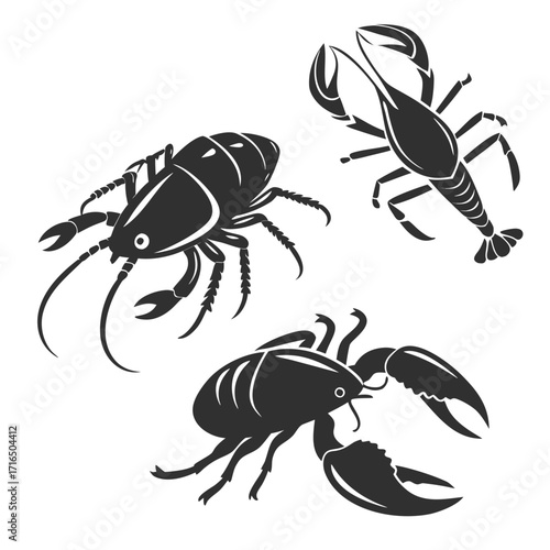 Three crustaceans are shown in this illustration